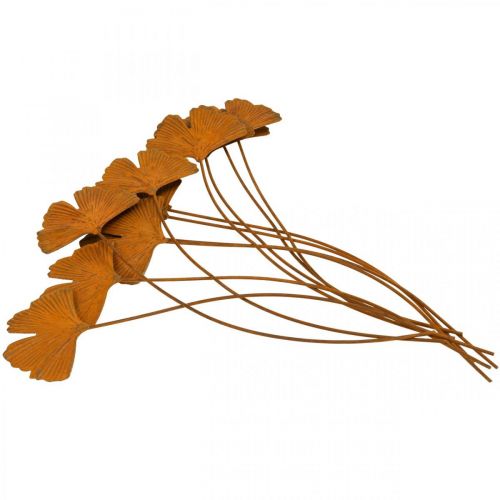 Floristik21 Gartenstecker Rost Gingkoblatt Beetstecker 7x5cm 6St