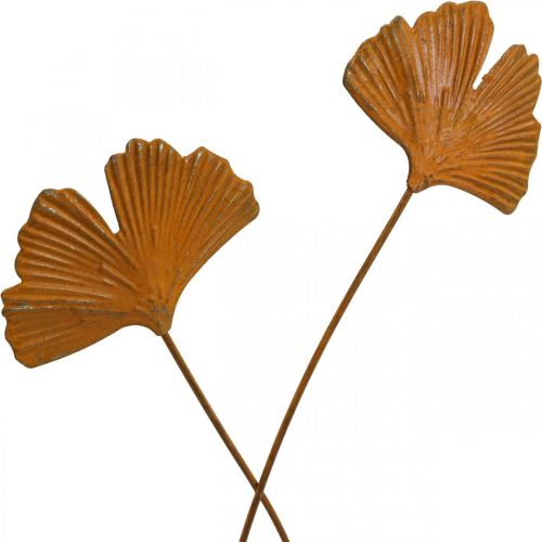 Floristik21 Gartenstecker Rost Gingkoblatt Beetstecker 7x5cm 6St