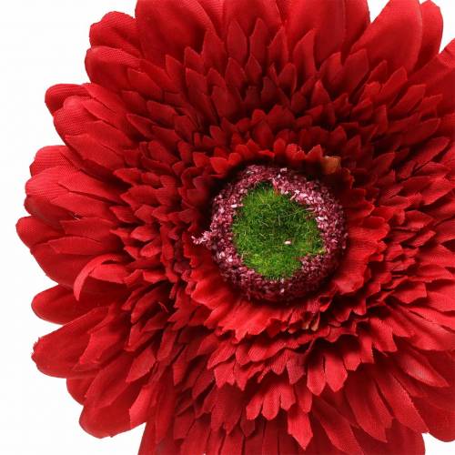 Floristik21 Gerbera künstlich Rot 62cm 6St