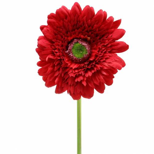 Floristik21 Gerbera künstlich Rot 62cm 6St