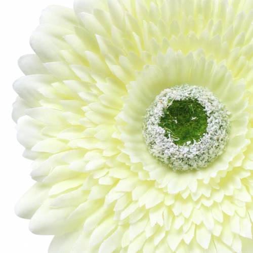Artikel Gerbera künstlich Weiß 62cm 6 St
