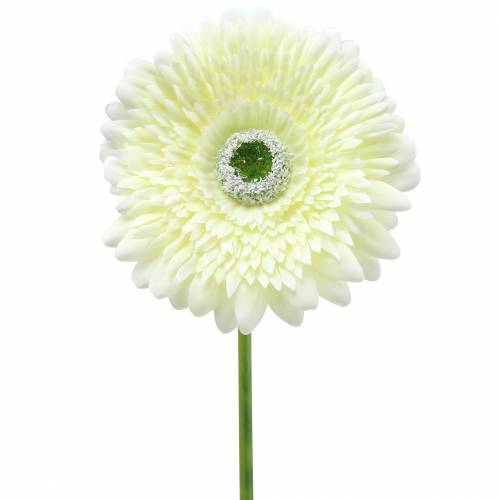 Floristik21 Gerbera künstlich Weiß 62cm 6St