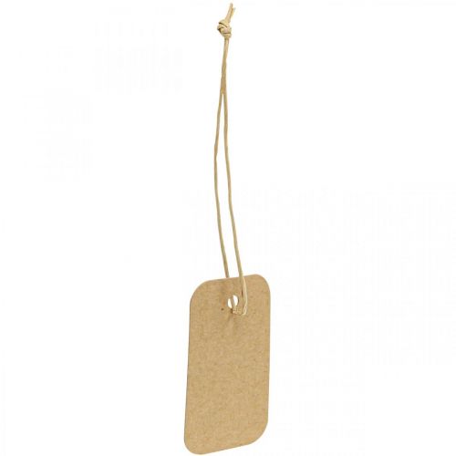 Geschenkanhänger Natur Schildchen Papier 3,5x6cm 100St