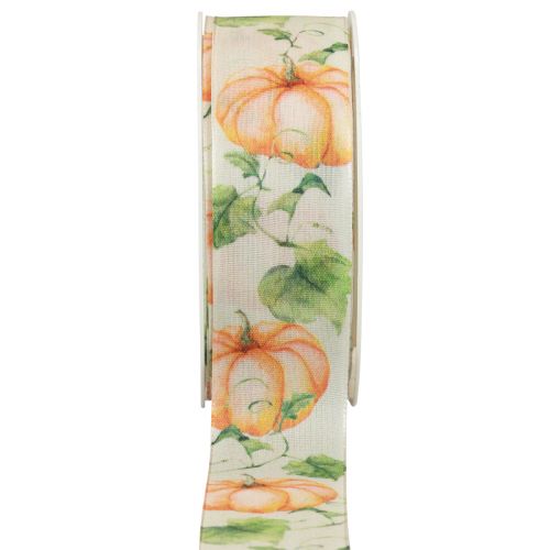 Floristik21 Geschenkband Kürbis Band Herbst Orange 40mm 15m