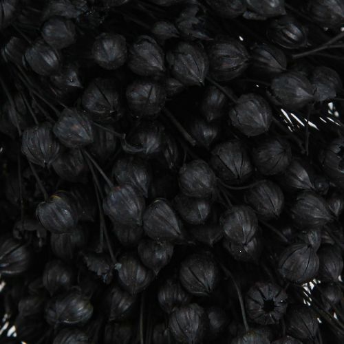 Floristik21 Getrockneter Flachs Kranz Schwarz Ø25cm - Vielseitig, Stilvoll & Langlebig - Perfekt für Dekorateure