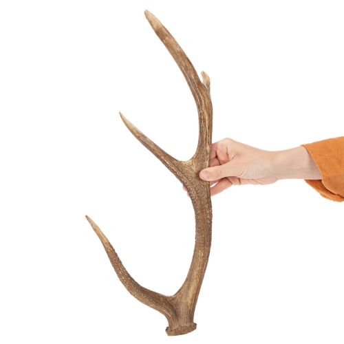 Deko-Geweih aus Polyresin braun 50x29x11cm für Innenräume | Floristik21.de