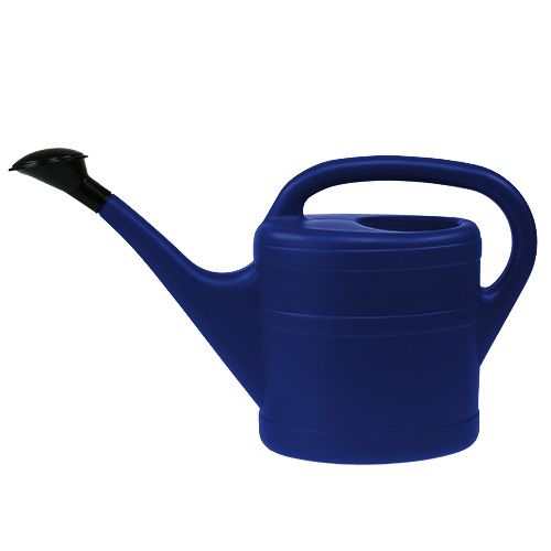 Gießkanne 5l Blau