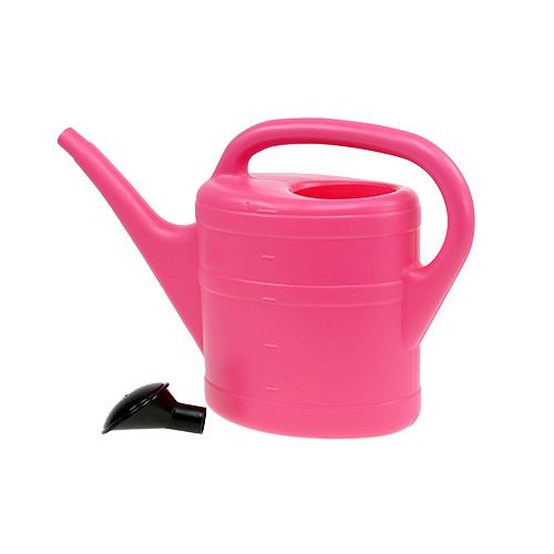 Floristik21 Gießkanne in Pink 5 L