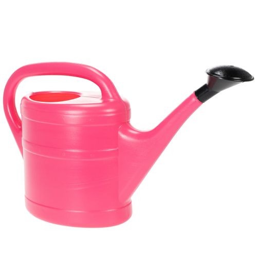 Gießkanne in Pink 5 L einkaufen | Floristik21.de