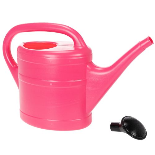 Gießkanne in Pink 5 L | Floristik21.de