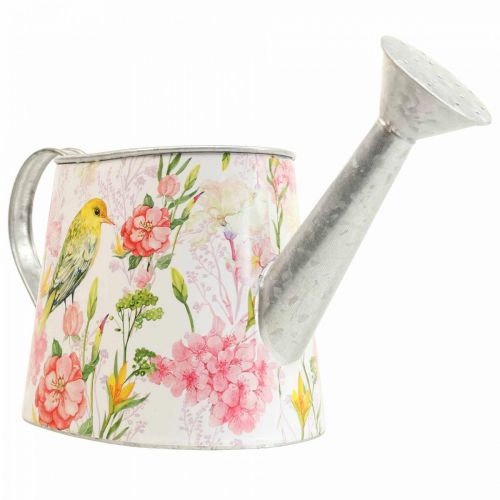 Floristik21 Deko Gießkanne Metall zum Bepflanzen, Pflanzkanne H16cm