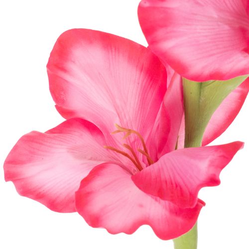 Künstliche Gladiole 88cm, Pink, Kunstseide und Kunststoff, Innenbereich | Floristik21.de