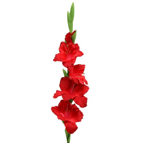 Floristik21 Gladiole Rot künstlich 86cm