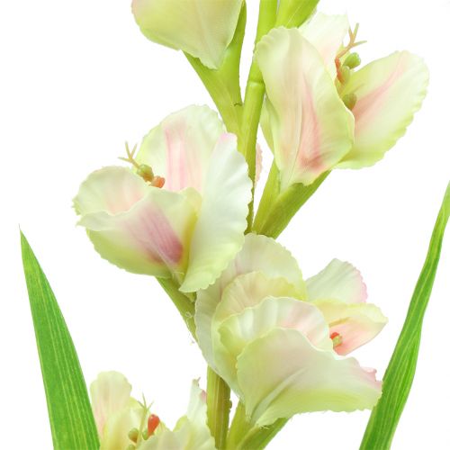 Artikel Gladiole Weiß 93cm