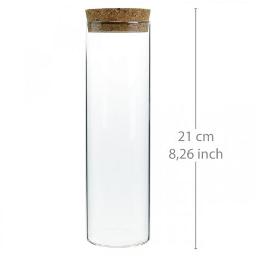 Floristik21 Glas mit Korkdeckel Glaszylinder mit Korken Klar Ø6cm H21cm