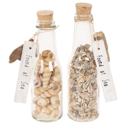 Glasflasche Set mit Muscheln und Anhänger, ca. 17 cm, Naturdeko, 2 Stück