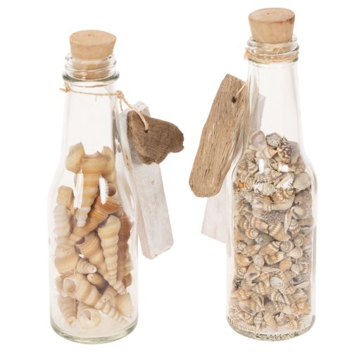 Glasflasche Set mit Muscheln und Anhänger, ca. 17 cm, Naturdeko, 2 Stück | Floristik21.de