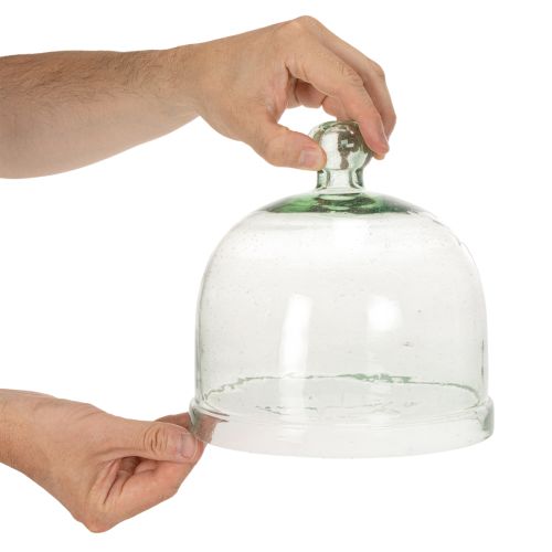 Ziehglocke Glas 20cm Transparent mit Knauf für Dekoration | Floristik21.de