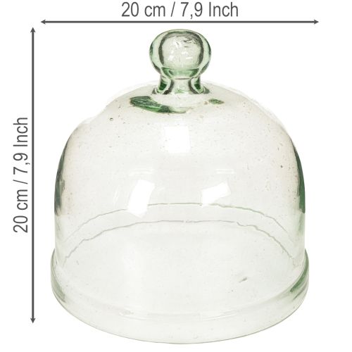 Ziehglocke Glas 20cm Transparent mit Knauf für Dekoration | Floristik21.de