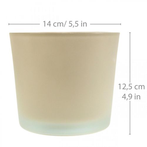 Glas Blumentopf Beige Übertopf Glaskübel Ø14,5cm H12,5cm