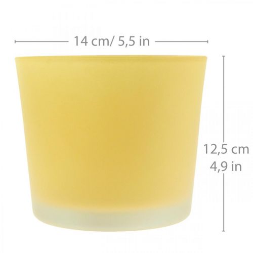 Artikel Glas Blumentopf Gelb Pflanztopf Glaskübel Ø14,5cm H12,5cm