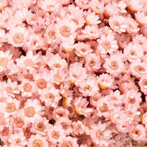 Artikel Deko-Blütenbund Frühling Ostern 44cm Rosa Natur für Festliche Anlässe