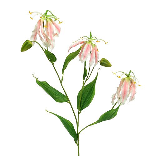 Floristik21 Gloriosa Rosa-Weiß künstlich 84cm 3St