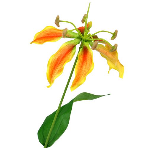 Artikel Gloriosa Zweig Orange-Gelb 90cm 1St
