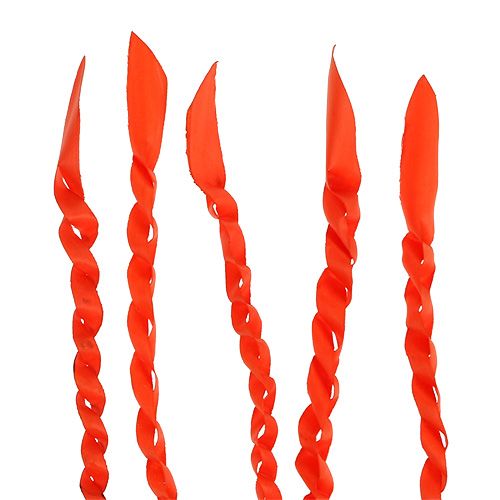 Gold Ranke Orange 50St
