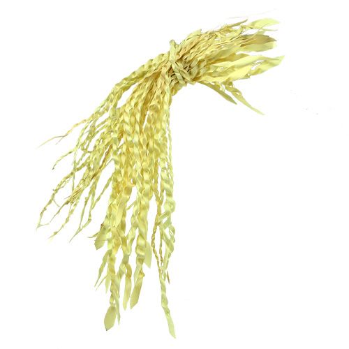 Floristik21 Gold Ranke gebleicht 50 St