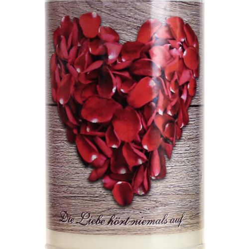 Floristik21 Grabkerzen mit Motiv Rosen Trauerlichter Gemischt Ø7cm H18,5cm 6St