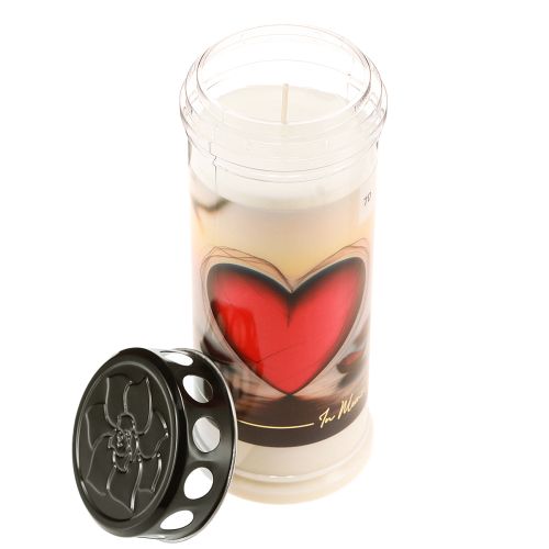 Floristik21 Grablicht Weiß mit Spruch im Mix Ø7cm H24,5cm 6St            Grablicht Pl.Ø7,5cmH21,5cm Ornamentica 7Tage HERZ 1St