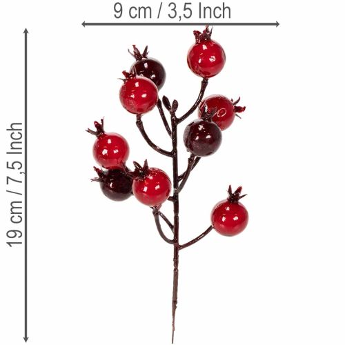 Kunstzweig Granatapfel, 19 cm, rot, 4 Stück, mit verzweigten Stielen | Floristik21.de