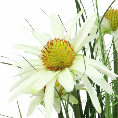 Artikel Gras mit Echinacea künstlich im Topf Weiß 52cm