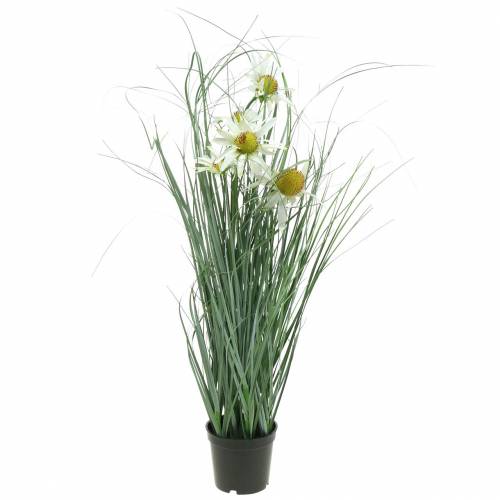 Floristik21 Gras mit Echinacea künstlich im Topf Weiß 56cm