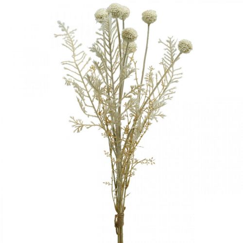 Floristik21 Trockengräser künstlich Pampasgras Allium Crème, Beige H60cm