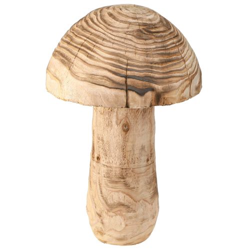 Floristik21 Großer Holzpilz Dekoration Pilz Paulownia Ø21cm H33cm Natürlicher Charme