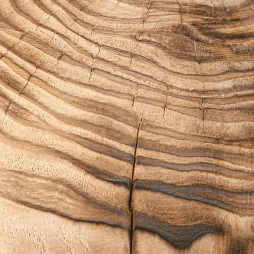 Artikel Großer Holzpilz Dekoration Pilz Paulownia Ø21cm H33cm Natürlicher Charme