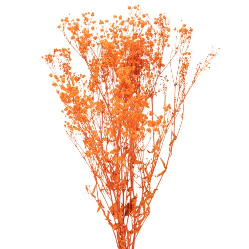 Schleierkraut Trockenblumenstrauß Gypsophila Orange 75cm 100g