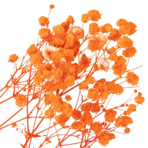 Schleierkraut Trockenblumenstrauß Gypsophila Orange 75cm 100g | Floristik21.de