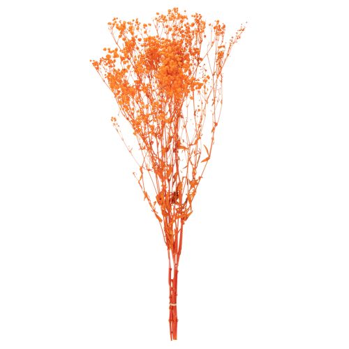 Schleierkraut Trockenblumenstrauß Gypsophila Orange 75cm 100g | Floristik21.de
