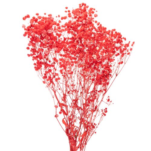 Trockenblumen Schleierkraut Bund 75 cm Rot 100 g für Dekoration