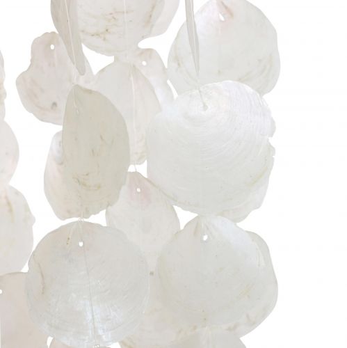 Floristik21 Hängedeko Muscheln Capiz Windspiel Deko Ø29cm 185cm