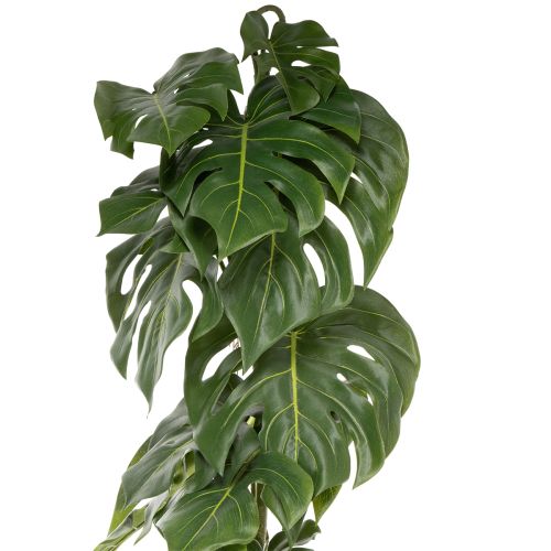 Künstliche Monstera 120cm mit großen detailgetreuen Blättern als stilvolle Innendekoration