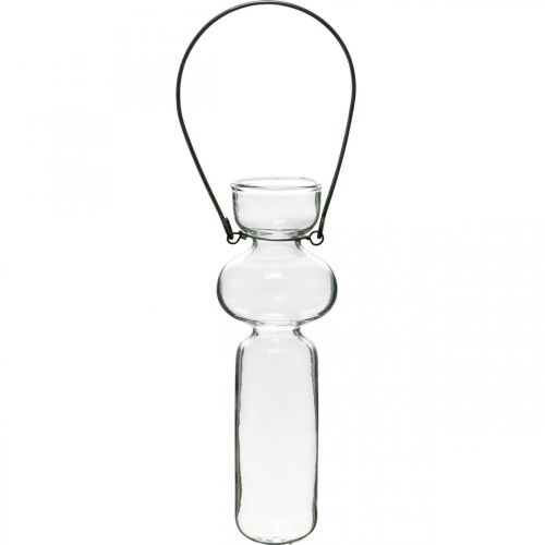 Floristik21 Mini Glasvasen zum Aufhängen Glasdeko mit Drahtbügel H14cm 4St