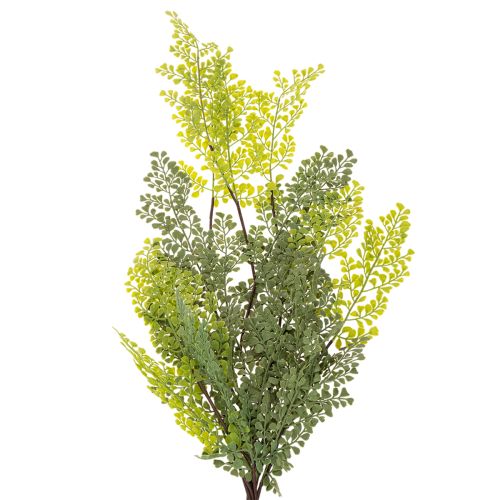 Künstlicher Farnzweig aus Kunststoff, 80cm, Grün, für Innenbereich | Floristik21.de