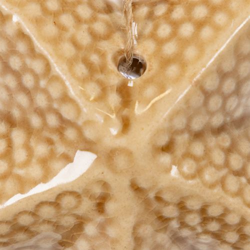 Artikel Seestern Dekohänger aus Keramik 12 cm, 2 Stück in Beige für maritimes Ambiente