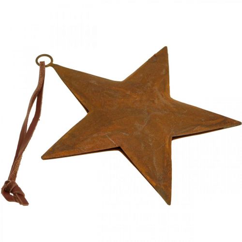 Floristik21 Weihnachtsanhänger Stern Metallstern Rost Optik H13,5cm
