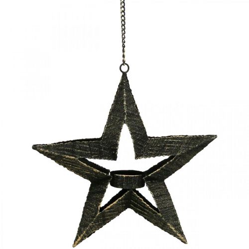 Floristik21 Teelichthalter Metall Weihnachtsstern Deko Beige 22,5cm