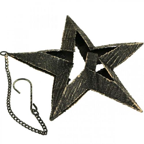 Artikel Teelichthalter Metall Weihnachtsstern Deko Beige 22,5cm